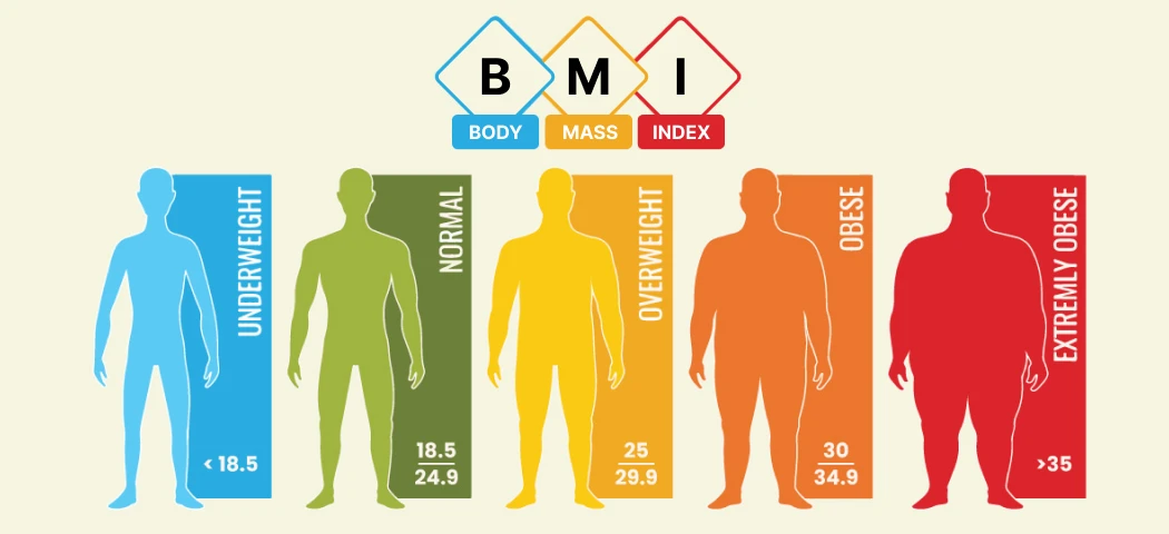 free bmi calculator
