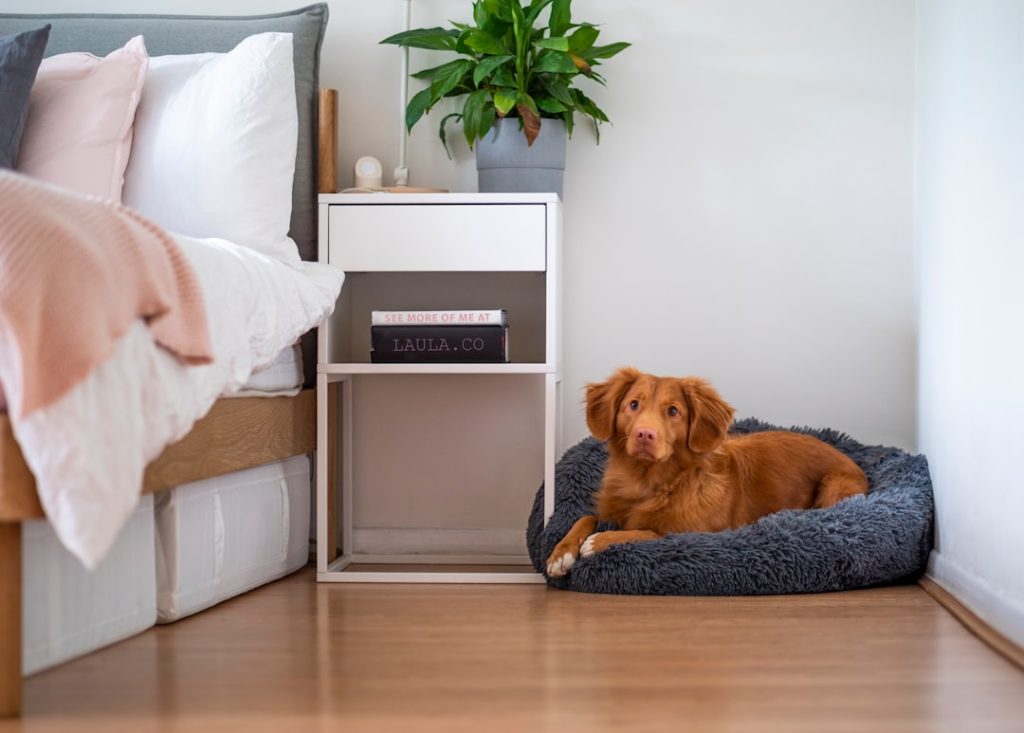 Choosing the Best Air Purifier for Your Home Based on Allergies, Pets, and Pollution Levels